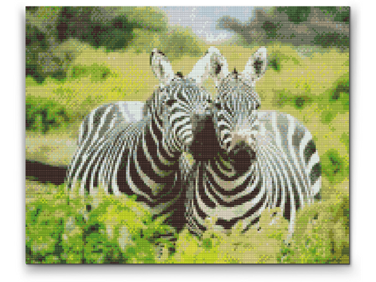 Diamond Painting - Safarizebraer