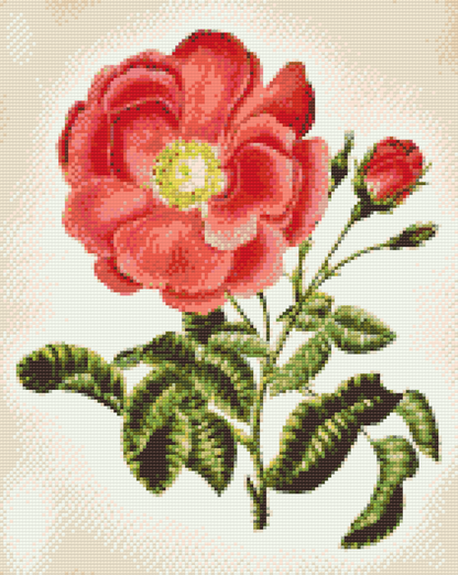 Diamond Painting - Vintage Rose