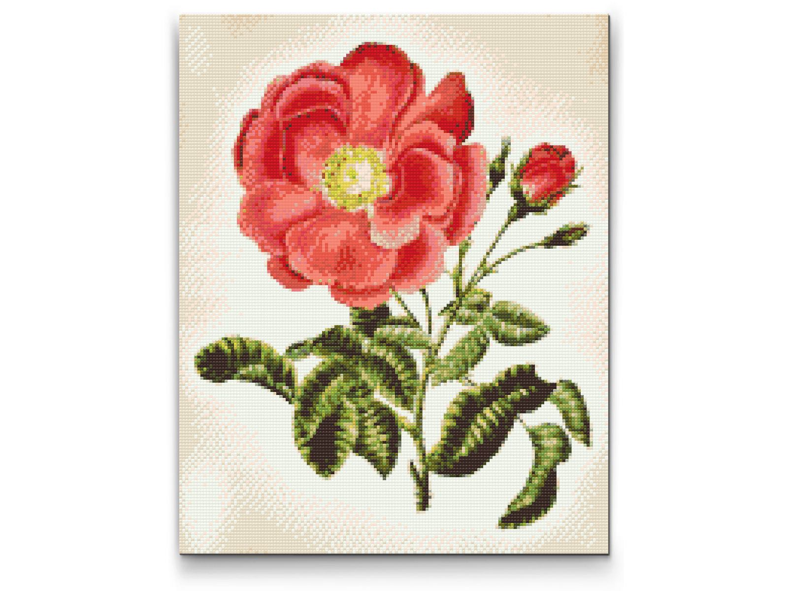 Diamond Painting - Vintage Rose