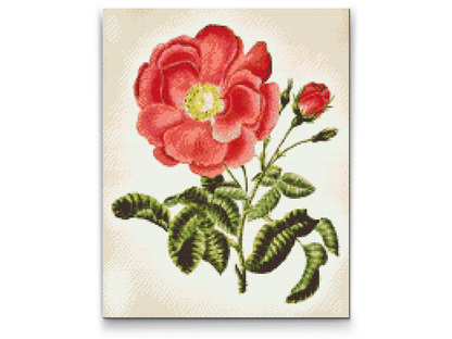 Diamond Painting - Vintage Rose