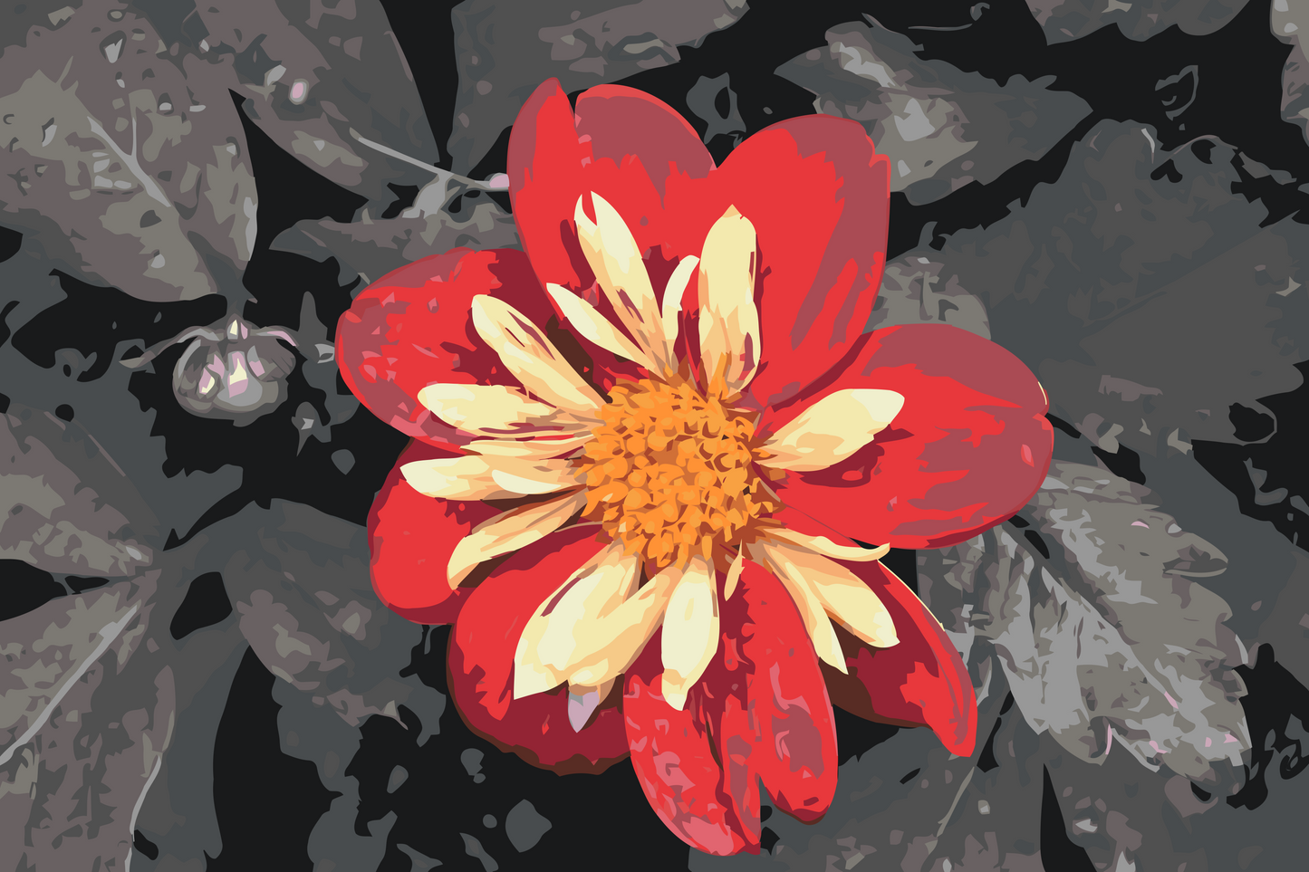Paint by Numbers - Rød Blomst