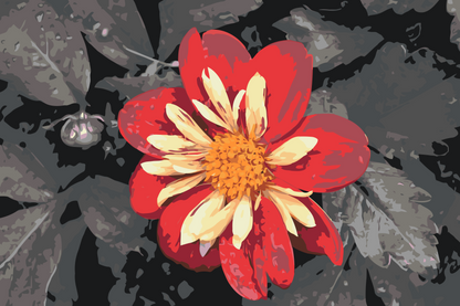 Paint by Numbers - Rød Blomst