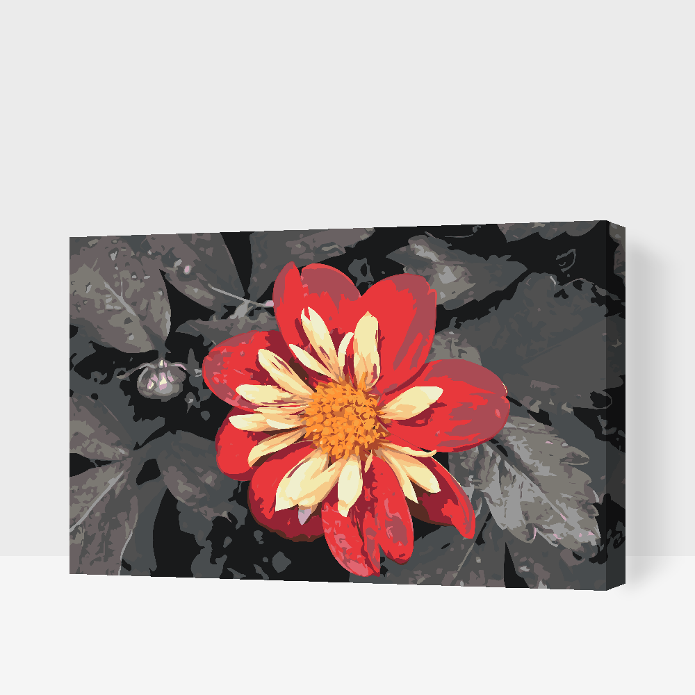 Paint by Numbers - Rød Blomst