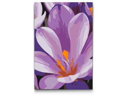 Paint by Numbers - Krokusblomst