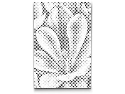 Mal-med-prikker -  Krokusblomst
