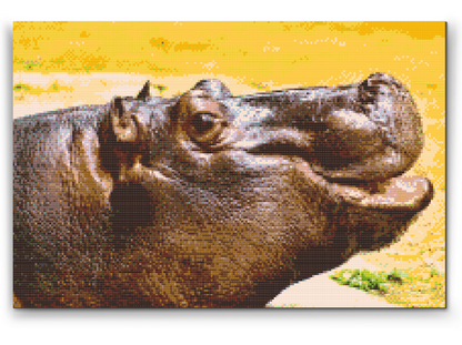 Diamond Painting - Safari Flodhest