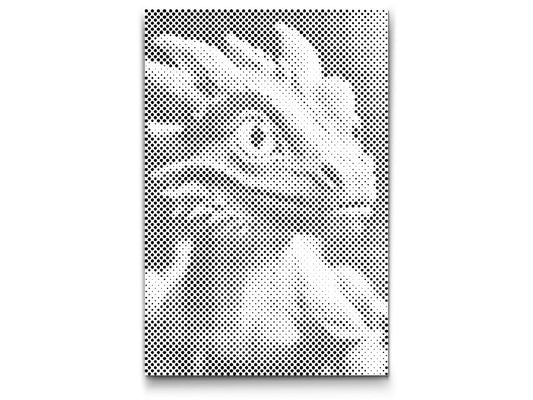 Mal-med-prikker -  Farverig drage