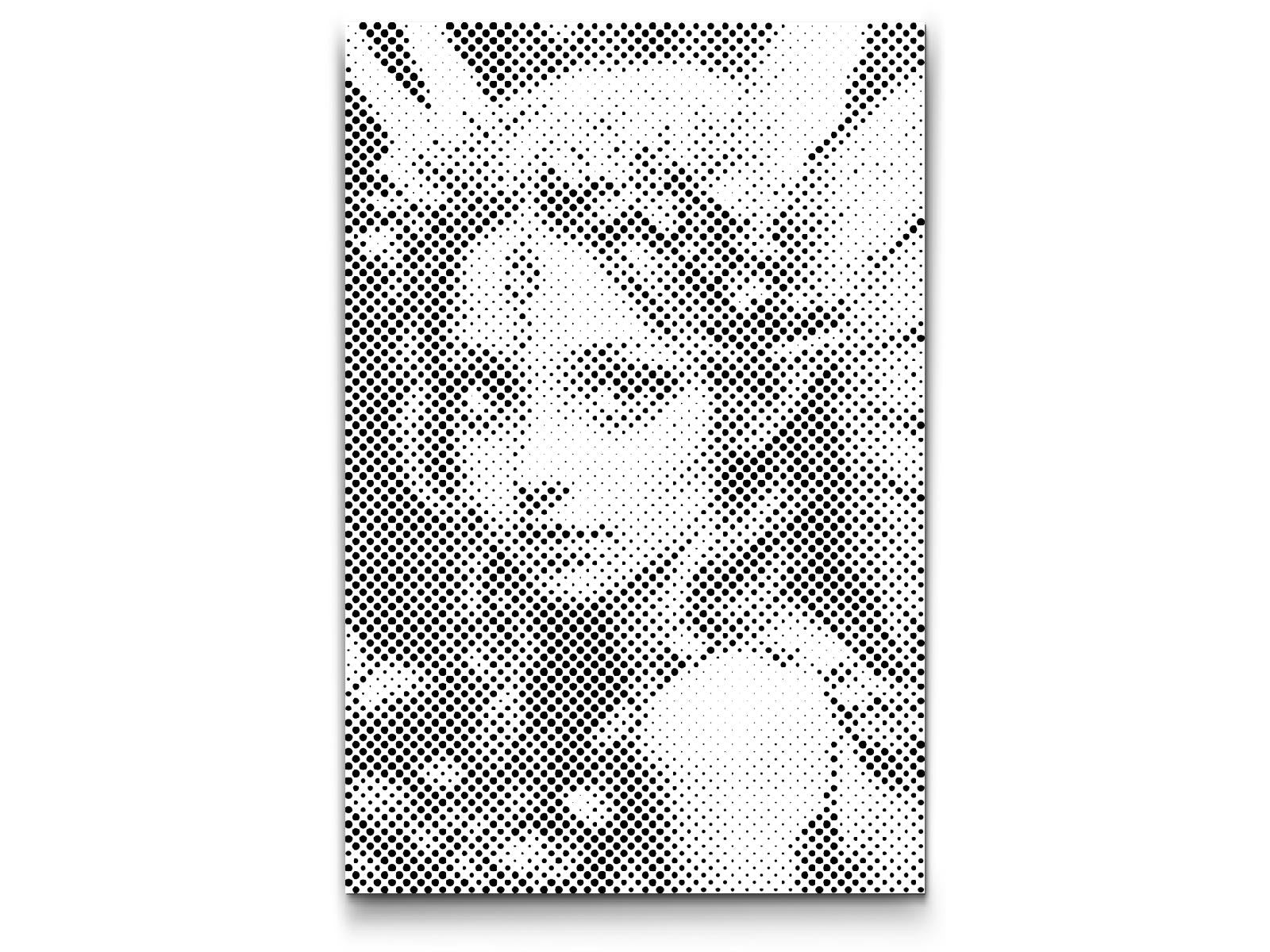  Fe fra den Fortryllede Skov