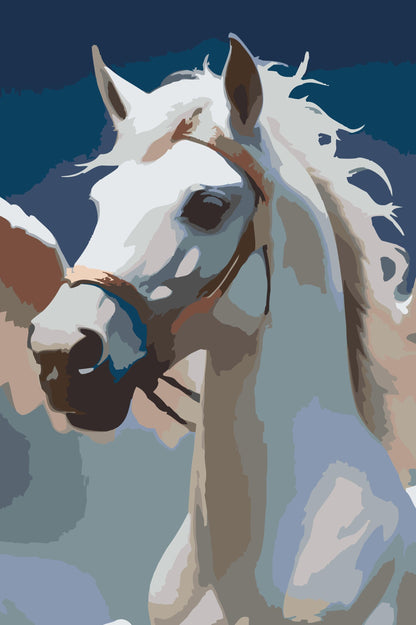 Paint by Numbers - Hvid Pegasus i skyerne