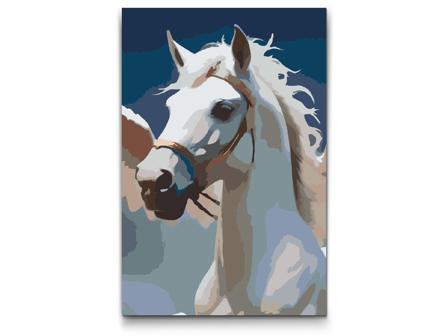 Paint by Numbers - Hvid Pegasus i skyerne