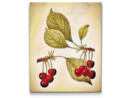Diamond Painting - Vintage kirsebær