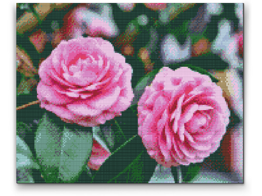 Diamond Painting - Lyserøde kameliaer