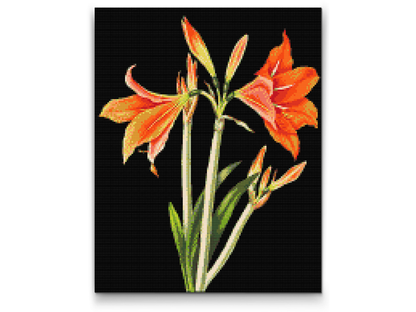 Diamond Painting - Vintage Liljer