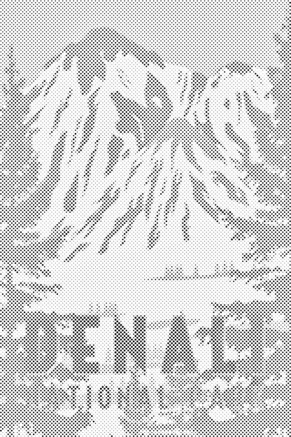 Mal-med-prikker -  Denali Nationalpark