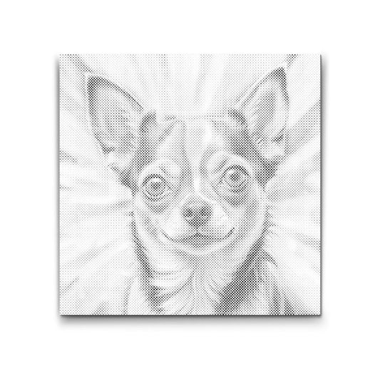 Chihuahua 2