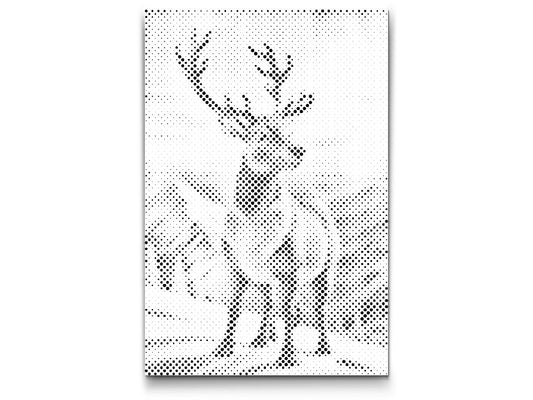 Hjort i Snedækkede Bjerge