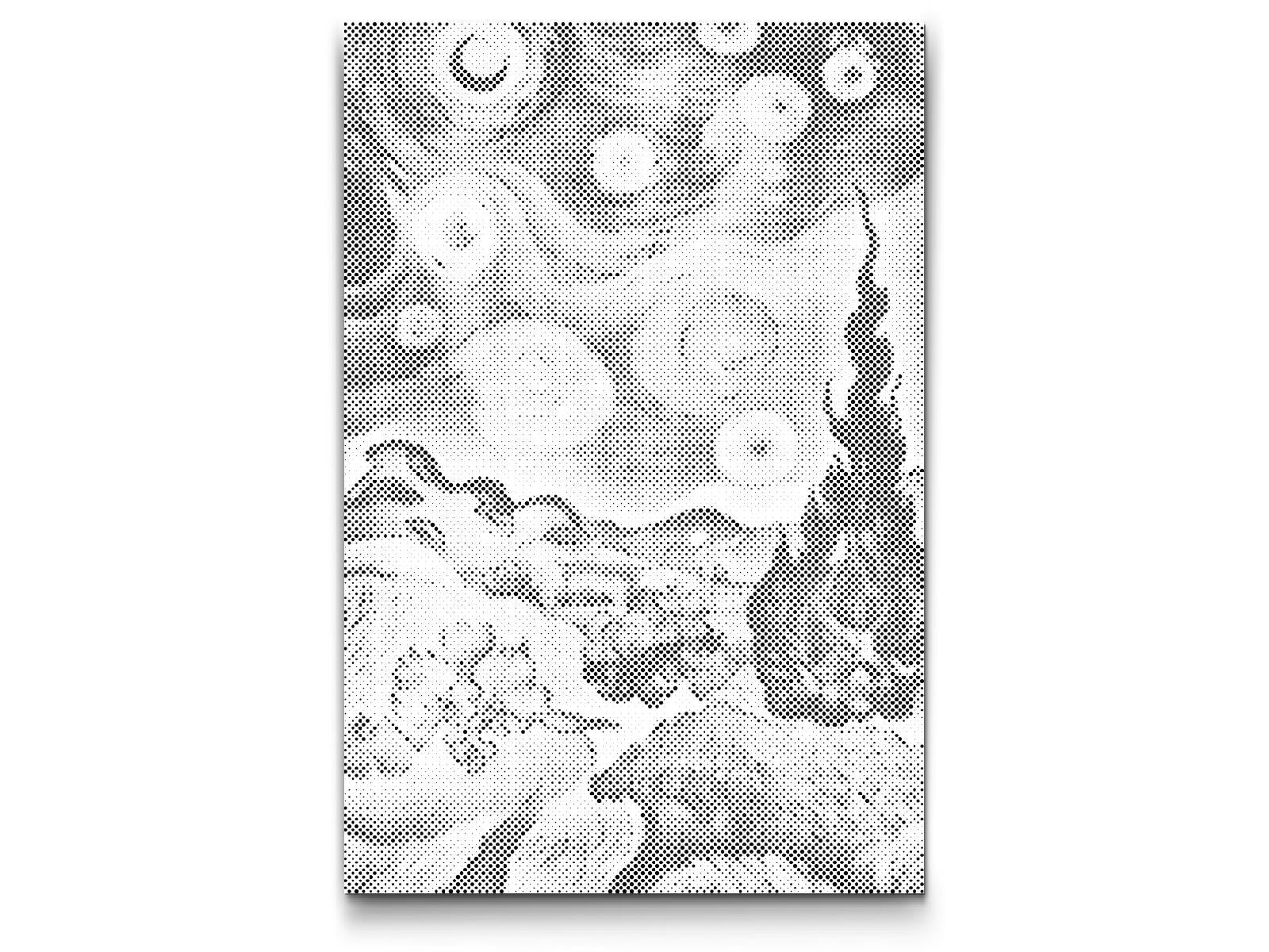  Hvedemark under Stjernehimmel