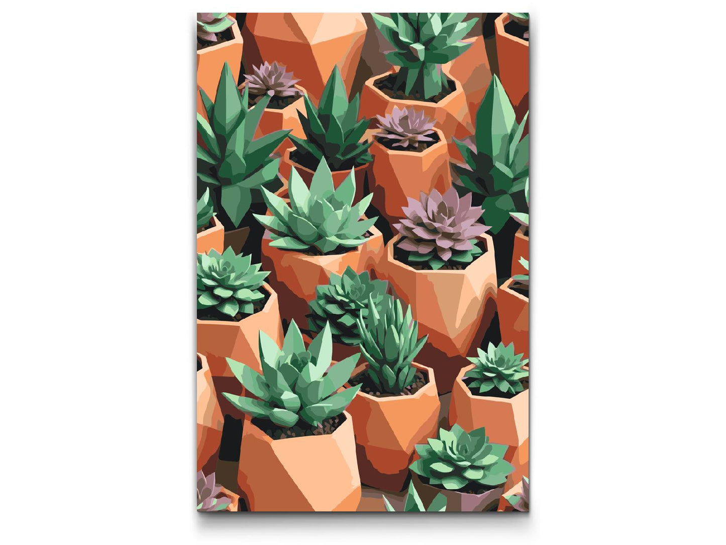 Paint by Numbers - Origami-sukkulenter