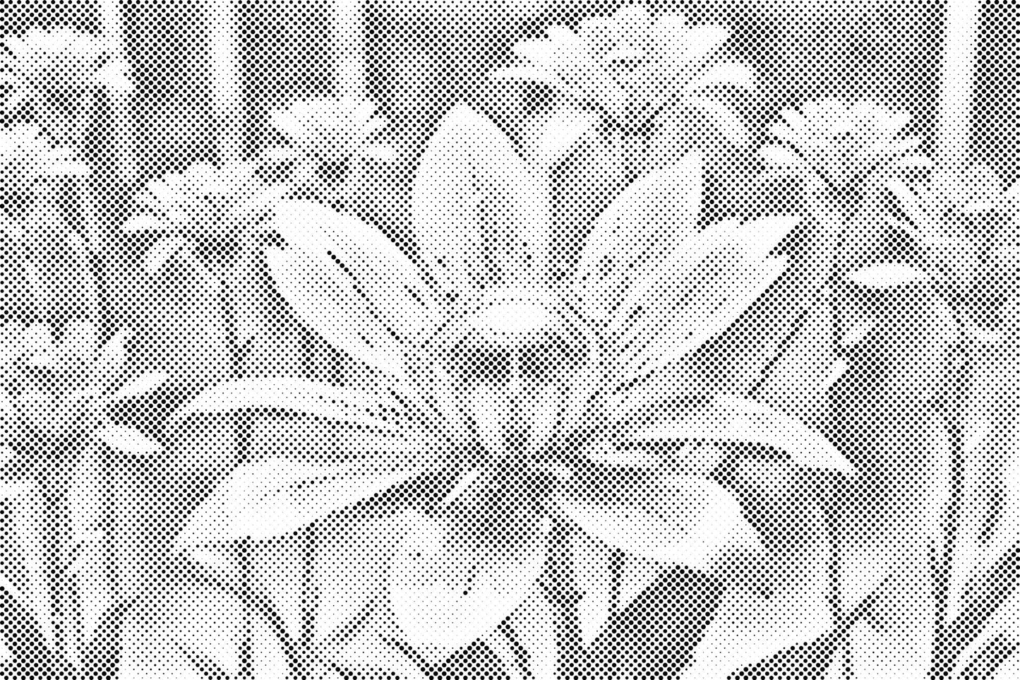 Mal-med-prikker -  Robotblomst
