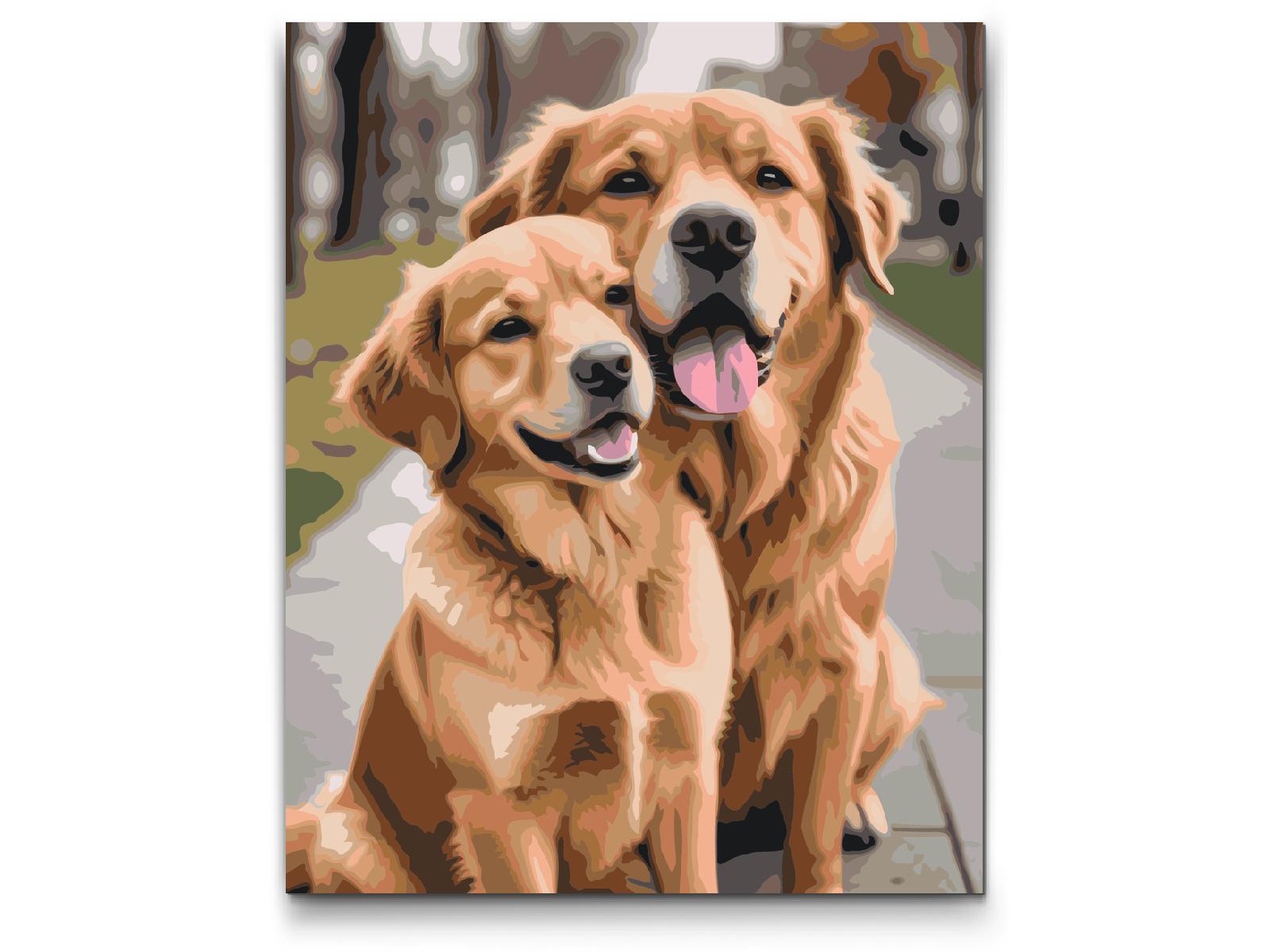 Paint by Numbers - Hunde forelskede