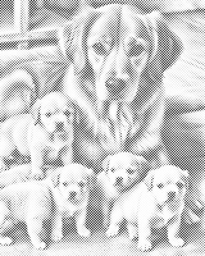 Mal-med-prikker -  Golden retriever og hvalpe