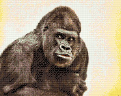 Diamond Painting - Gorilla