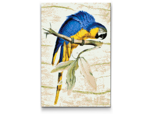 Diamond Painting - Vintage papegøje
