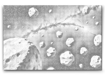 Mal-med-prikker -  Asteroidebælte
