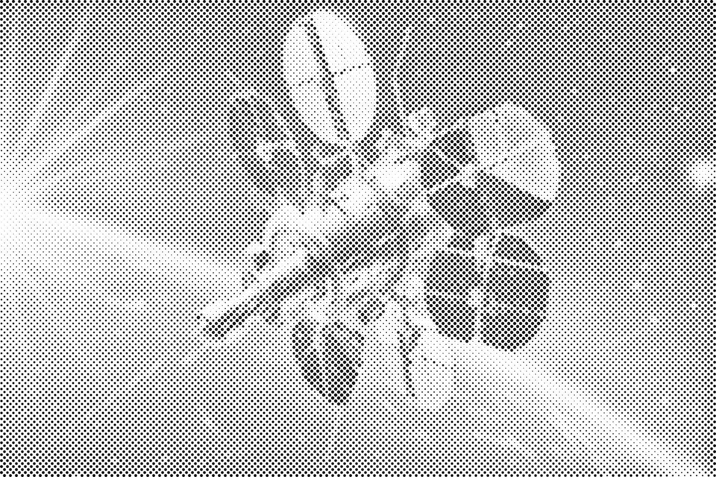 Mal-med-prikker -  Rumsatellit