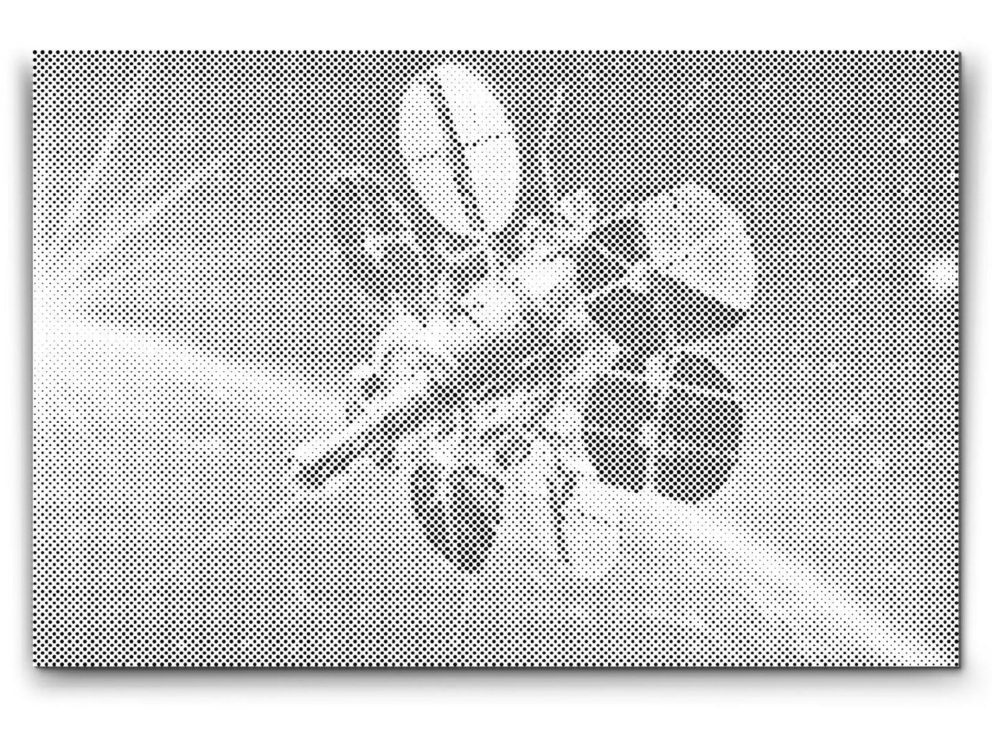 Mal-med-prikker -  Rumsatellit
