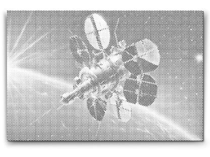 Mal-med-prikker -  Rumsatellit