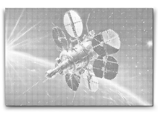 Mal-med-prikker -  Rumsatellit