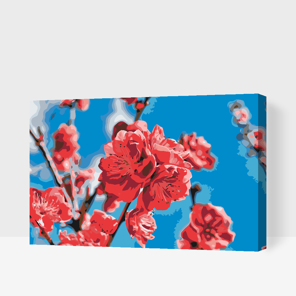 Paint by Numbers - Ferskenblomst