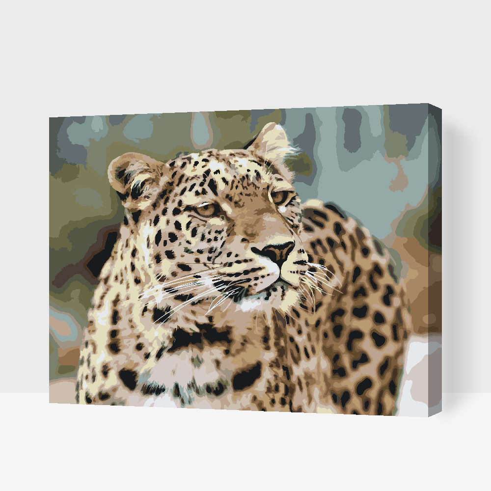 Paint by Numbers - Leopard i naturen