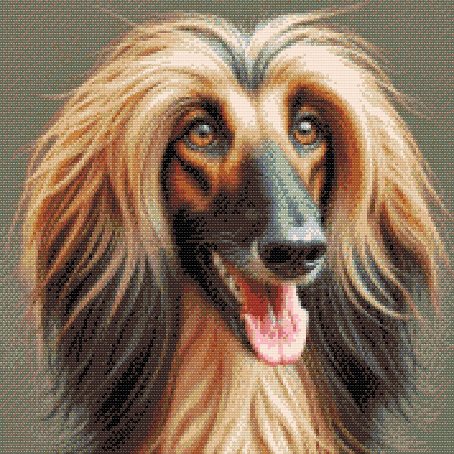 Diamond Painting - Afghansk mynde