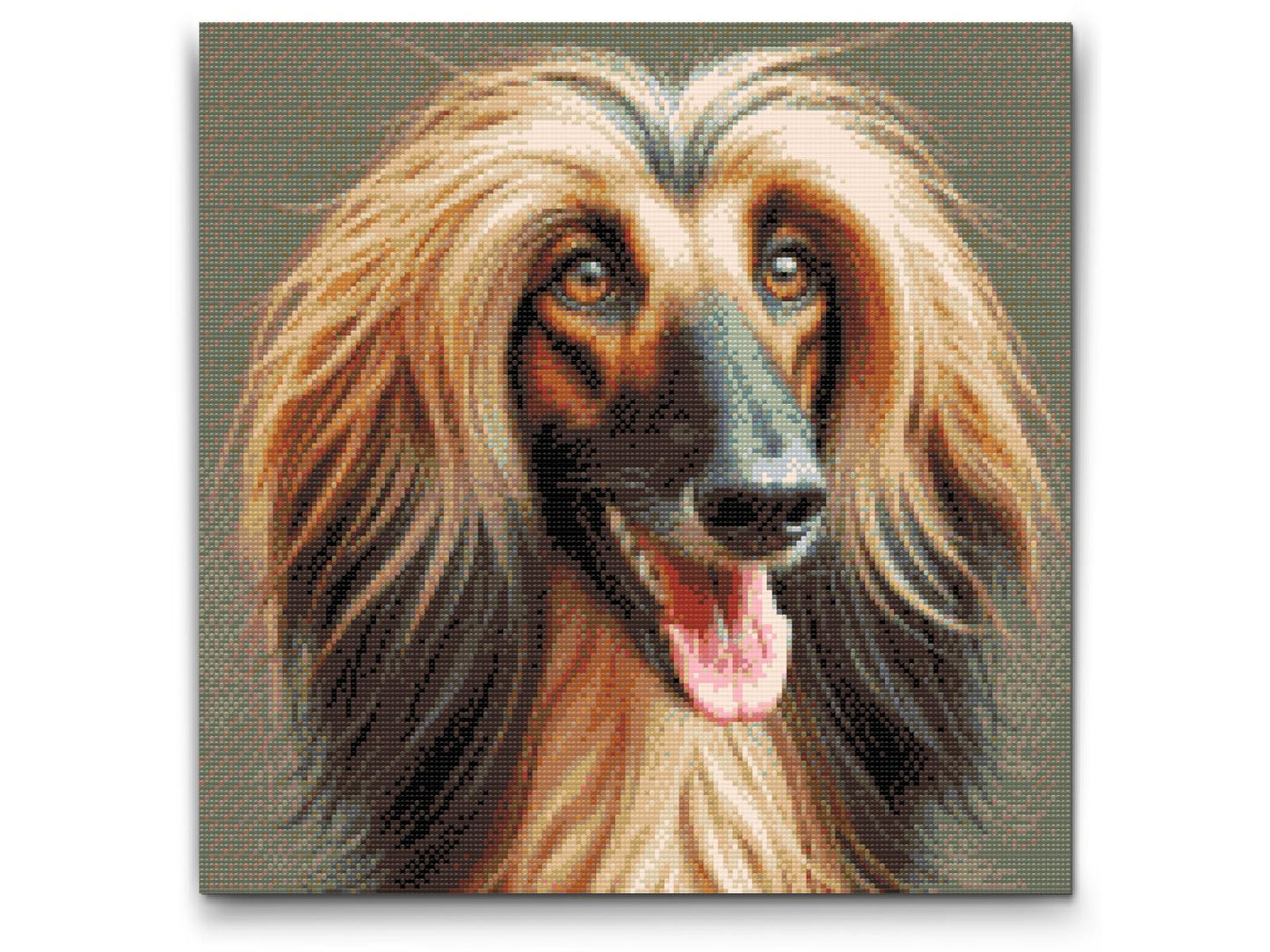 Diamond Painting - Afghansk mynde
