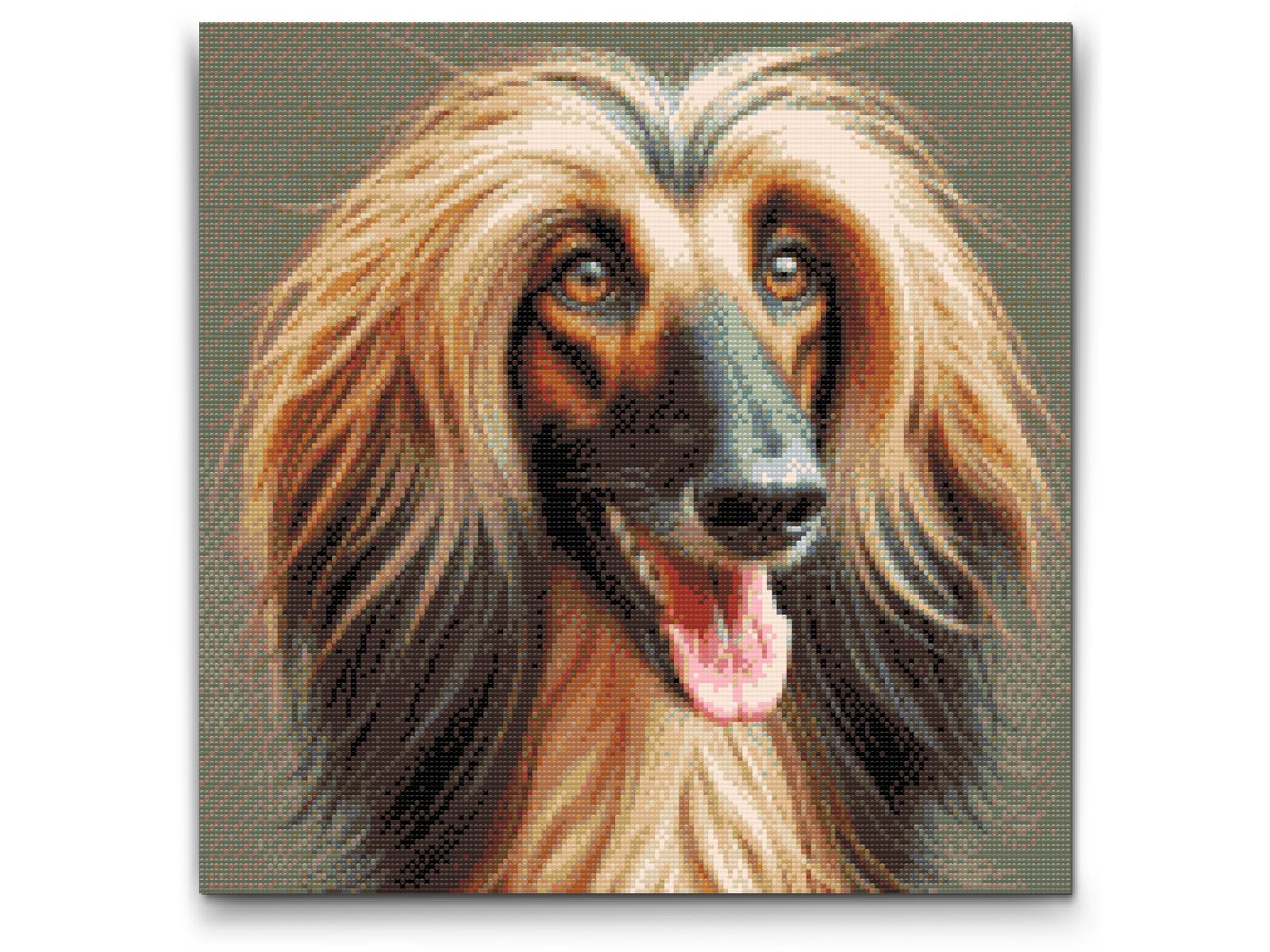 Diamond Painting - Afghansk mynde