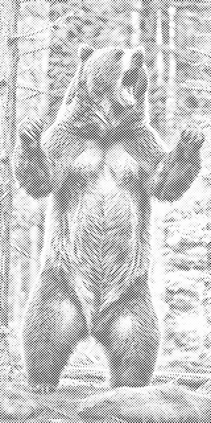 Mal-med-prikker -  Store grizzly