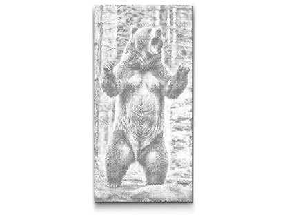 Mal-med-prikker -  Store grizzly