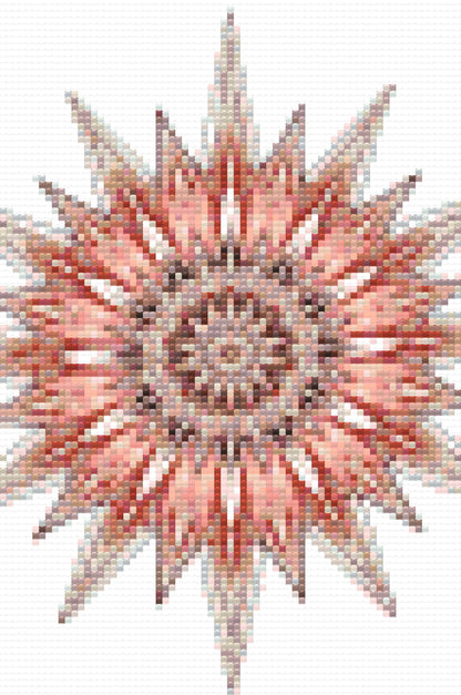 Diamond Painting - Pigget Mandala