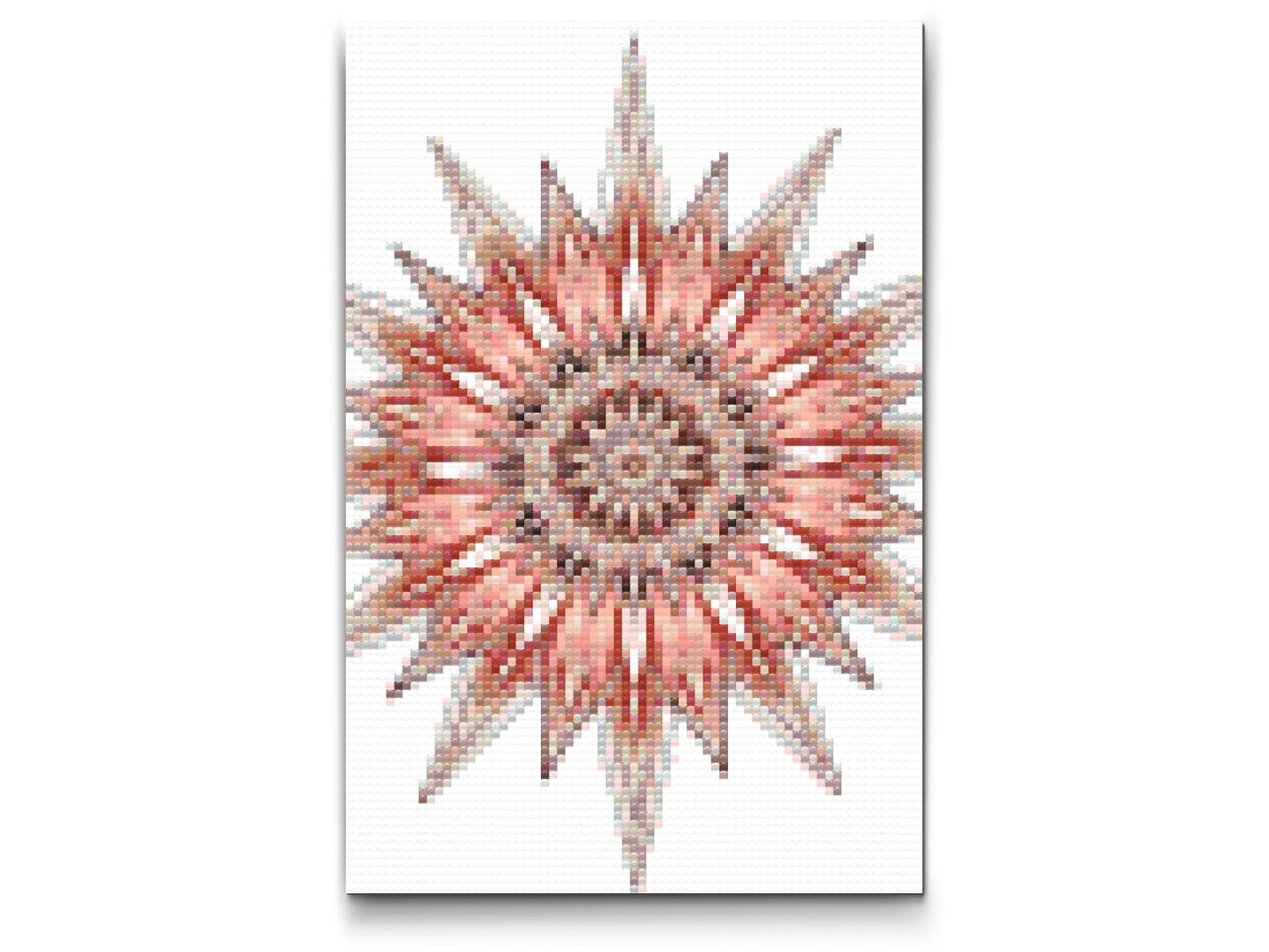 Diamond Painting - Pigget Mandala
