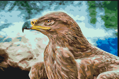 Paint by Numbers - Raptor