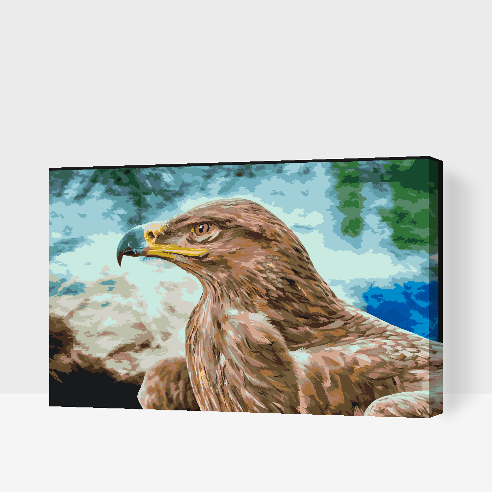 Paint by Numbers - Raptor