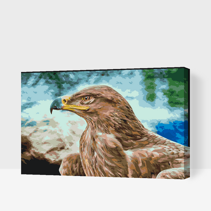 Paint by Numbers - Raptor