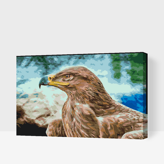 Paint by Numbers - Raptor