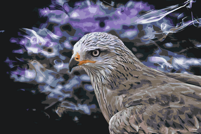Paint by Numbers - Falcon