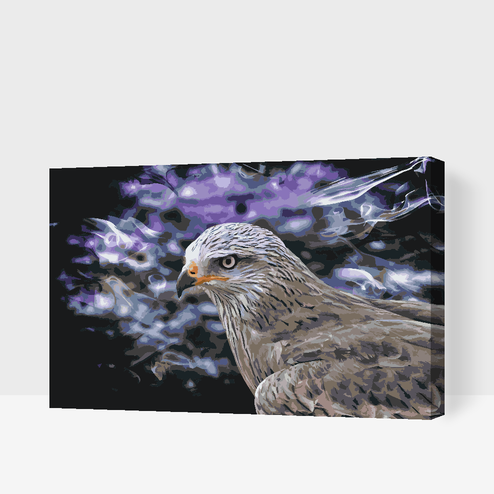 Paint by Numbers - Falcon