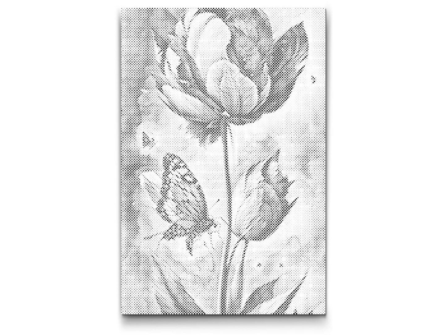  En Sommerfugl og en Tulipan