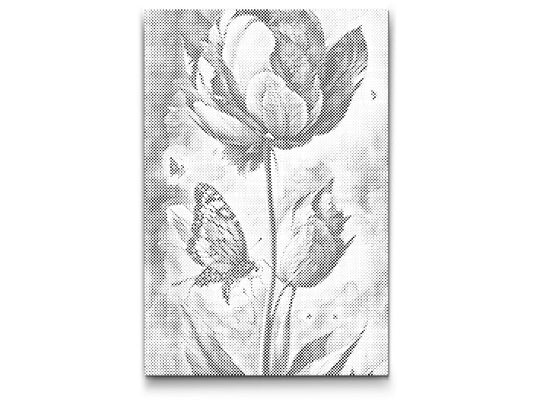  En Sommerfugl og en Tulipan