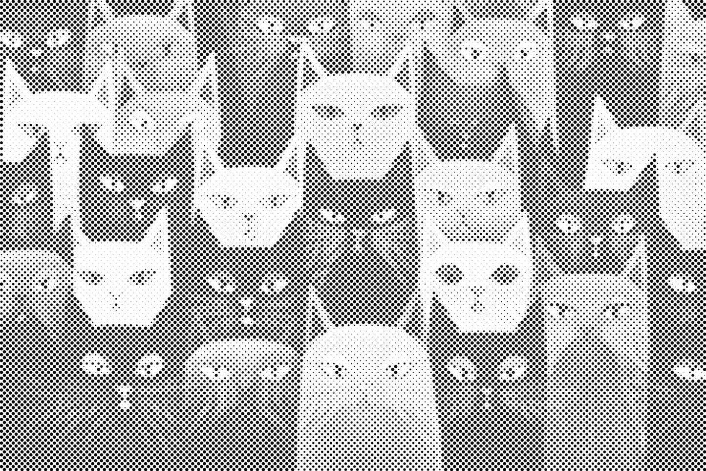 Mal-med-prikker -  Katte, uanset hvor man kigger